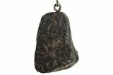 Stony Chondrite Meteorite ( g) Keychain - Morocco #238148-1